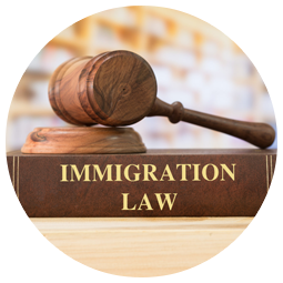 immigration law icon